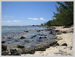 Coral reef rocks beach
